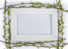 White frame with green willow branches on a white background. Copy space in the middle for your text stock photography White frame with green willow branches on a white background. Copy space in the middle for your text stock photography