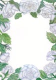 White Gardenia Invitation Print