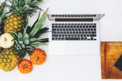 White Macbook Near Pineapple and Pumpkin Royalty Free Stock Photos White Macbook Near Pineapple and Pumpkin Royalty Free Stock Photos