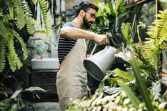 White man taking care of the plants stock photo White man taking care of the plants stock photo