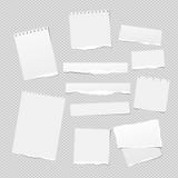 White note, notebook paper pieces with torn edges stuck on white squared backgroud. Vector illustration. stock illustration White note, notebook paper pieces with torn edges stuck on white squared backgroud. Vector illustration. stock illustration