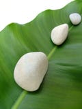 White pebbles on leaf - natural spa