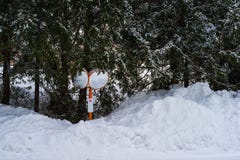 Pile of snow and trees around orange street mirrors. White pile of snow and trees around orange street mirrors Royalty Free Stock Photos Pile of snow and trees around orange street mirrors. White pile of snow and trees around orange street mirrors Royalty Free Stock Photos