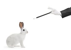 A white rabbit and a hand holding a magic wand Stock Images A white rabbit and a hand holding a magic wand Stock Images