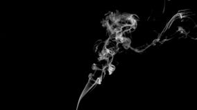 White smoke of cigarette in super slow motion
