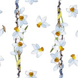 White yellow daffodils on a white background. Seamless pattern vector illustration White yellow daffodils on a white background. Seamless pattern vector illustration