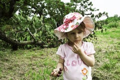And who broke the tree royalty free stock photos And who broke the tree royalty free stock photos