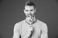 Who zorgen over matrijs De mens bijt grote zoete lolly De mens met varkenshaar houdt van snoepjes Bedorven dieet Sportman bij het stock afbeelding Who zorgen over matrijs De mens bijt grote zoete lolly De mens met varkenshaar houdt van snoepjes Bedorven dieet Sportman bij het stock afbeelding