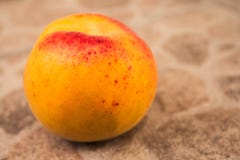 Whole apricot on concrete stock photography Whole apricot on concrete stock photography
