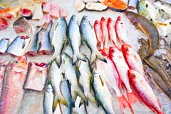 Whole Fresh Fishes Are Offered In The Fish Market Royalty Free Stock Image Whole Fresh Fishes Are Offered In The Fish Market Royalty Free Stock Image