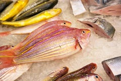 Whole Fresh Fishes Are Offered In The Fish Market In Asia Stock Image Whole Fresh Fishes Are Offered In The Fish Market In Asia Stock Image