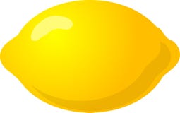 Whole lemon vector illustration Whole lemon vector illustration