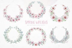 Wianek okwitnięcie menchii czereśniowi kwiaty w akwarela stylu z białym tłem Set lato kwitnący japończyk Sakura ilustracji Wianek okwitnięcie menchii czereśniowi kwiaty w akwarela stylu z białym tłem Set lato kwitnący japończyk Sakura ilustracji