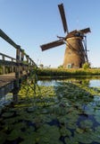 Wiatraczek na banku kanał z płochami w Kinderdijk Holandia, holandie obraz stock Wiatraczek na banku kanał z płochami w Kinderdijk Holandia, holandie obraz stock
