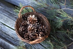 Wicker basket with pine cones