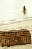 Wicker suitcase and lady in water