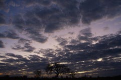 Wide view of cloudy Namibian sky and tree silhouettes against sunrise stock images Wide view of cloudy Namibian sky and tree silhouettes against sunrise stock images