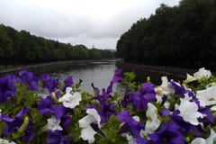 Widok rzeka od mosta w przedpolu petunia fotografia stock Widok rzeka od mosta w przedpolu petunia fotografia stock