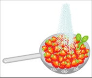 ?wie?e jagody w colander Dojrzałe soczyste truskawki myją pod wodą bieżącą Zbiera? owoc musz? by? je?? czyste ilustracji ?wie?e jagody w colander Dojrzałe soczyste truskawki myją pod wodą bieżącą Zbiera? owoc musz? by? je?? czyste ilustracji