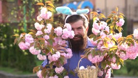 Wielkanoc kr?lika jaj Śmieszny królika królik na kwitnącym wiosny tle ?owiecki jajko i ?mieszny Wielkanocny dzie? Szcz??liwy zbiory wideo Wielkanoc kr?lika jaj Śmieszny królika królik na kwitnącym wiosny tle ?owiecki jajko i ?mieszny Wielkanocny dzie? Szcz??liwy zbiory wideo