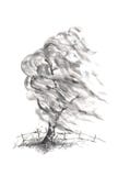 Wierzbowy drzewo w wiatrowym Japońskiego stylu sumi-e atramentu obrazie royalty ilustracja Wierzbowy drzewo w wiatrowym Japońskiego stylu sumi-e atramentu obrazie royalty ilustracja