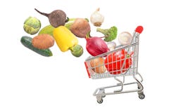 Świezi organicznie warzywa spada w odosobnionej furze Obrazy Royalty Free Świezi organicznie warzywa spada w odosobnionej furze Obrazy Royalty Free