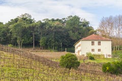 Wijngaarden en landbouwbedrijven in de winter, de vallei van Dos Vinhedos van het Dal royalty-vrije stock afbeeldingen Wijngaarden en landbouwbedrijven in de winter, de vallei van Dos Vinhedos van het Dal royalty-vrije stock afbeeldingen