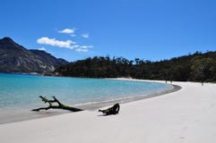 Wijnglasbaai, wit zandstrand met houten stok in Tasmanige royalty-vrije stock fotografie Wijnglasbaai, wit zandstrand met houten stok in Tasmanige royalty-vrije stock fotografie