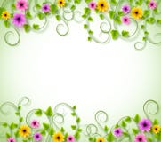 Wijnstokkenachtergrond voor Lentetijd met Realistische Kleurrijke Bloemen stock illustratie Wijnstokkenachtergrond voor Lentetijd met Realistische Kleurrijke Bloemen stock illustratie