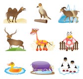 Wild Animal Vector Royalty Free Stock Photo Wild Animal Vector Royalty Free Stock Photo
