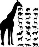 Wild animals silhouette