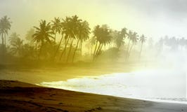 Wild Atlantic palm-lined beach at Ghana coast stock photography Wild Atlantic palm-lined beach at Ghana coast stock photography