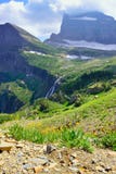 Wild flowers and high alpine landscape of the Grinnell Glacier trail in Glacier national park, montana stock photo Wild flowers and high alpine landscape of the Grinnell Glacier trail in Glacier national park, montana stock photo