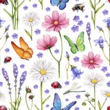 Wild flowers and insects illustration