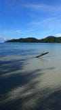 Wild island tropical forest raja ampat on the beach good to be lost alone small bungalows