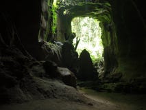 Wild jungle cave