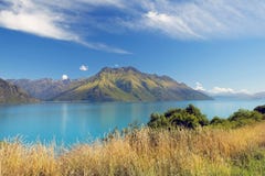 Wild Nature Of New Zealand Stock Photos