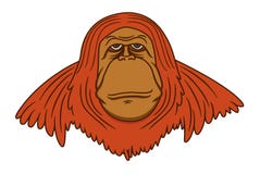 Cute Orangutan Cartoon Hanging On A Tree Branch Illustration 29822053 - Megapixl Cute Orangutan Cartoon Hanging On A Tree Branch Illustration 29822053 - Megapixl