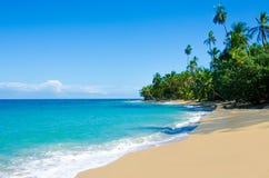 Wild strand Chiquita en Cocles in Costa Rica royalty-vrije stock afbeelding Wild strand Chiquita en Cocles in Costa Rica royalty-vrije stock afbeelding