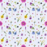 Wilde bloemenachtergrond Naadloos patroon Wilde bloemenwaterverf als achtergrond stock afbeeldingen Wilde bloemenachtergrond Naadloos patroon Wilde bloemenwaterverf als achtergrond stock afbeeldingen