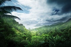 Wildernis van het eiland van Seychellen stock afbeelding Wildernis van het eiland van Seychellen stock afbeelding