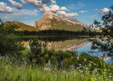 Wildflowers и Mt Rundle на Vermilion озерах стоковые изображения Wildflowers и Mt Rundle на Vermilion озерах стоковые изображения
