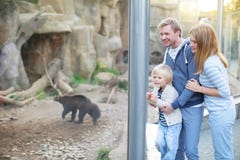 wildlife στοκ εικόνες wildlife στοκ εικόνες