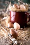 Willow branches and quail eggs on a wooden background stock photography Willow branches and quail eggs on a wooden background stock photography