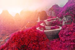 winding and curves road in Tianmen mountain national park, Hunan province, China royalty free stock photos winding and curves road in Tianmen mountain national park, Hunan province, China royalty free stock photos