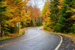 Winding Forest Road Dotted with Fallen Leaves Stock Images Winding Forest Road Dotted with Fallen Leaves Stock Images