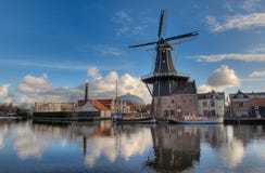 Windmill In Haarlem Stock Image
