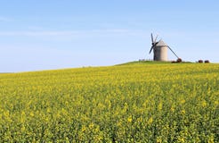 Windmill In Normandy Royalty Free Stock Photos Windmill In Normandy Royalty Free Stock Photos