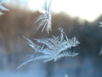 Window Snow Pattern Royalty Free Stock Photography