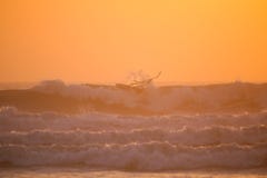 Windsurfing trick on wave in red sunset